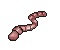 Worm