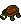 Baby Turtle
