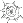 Spider Web